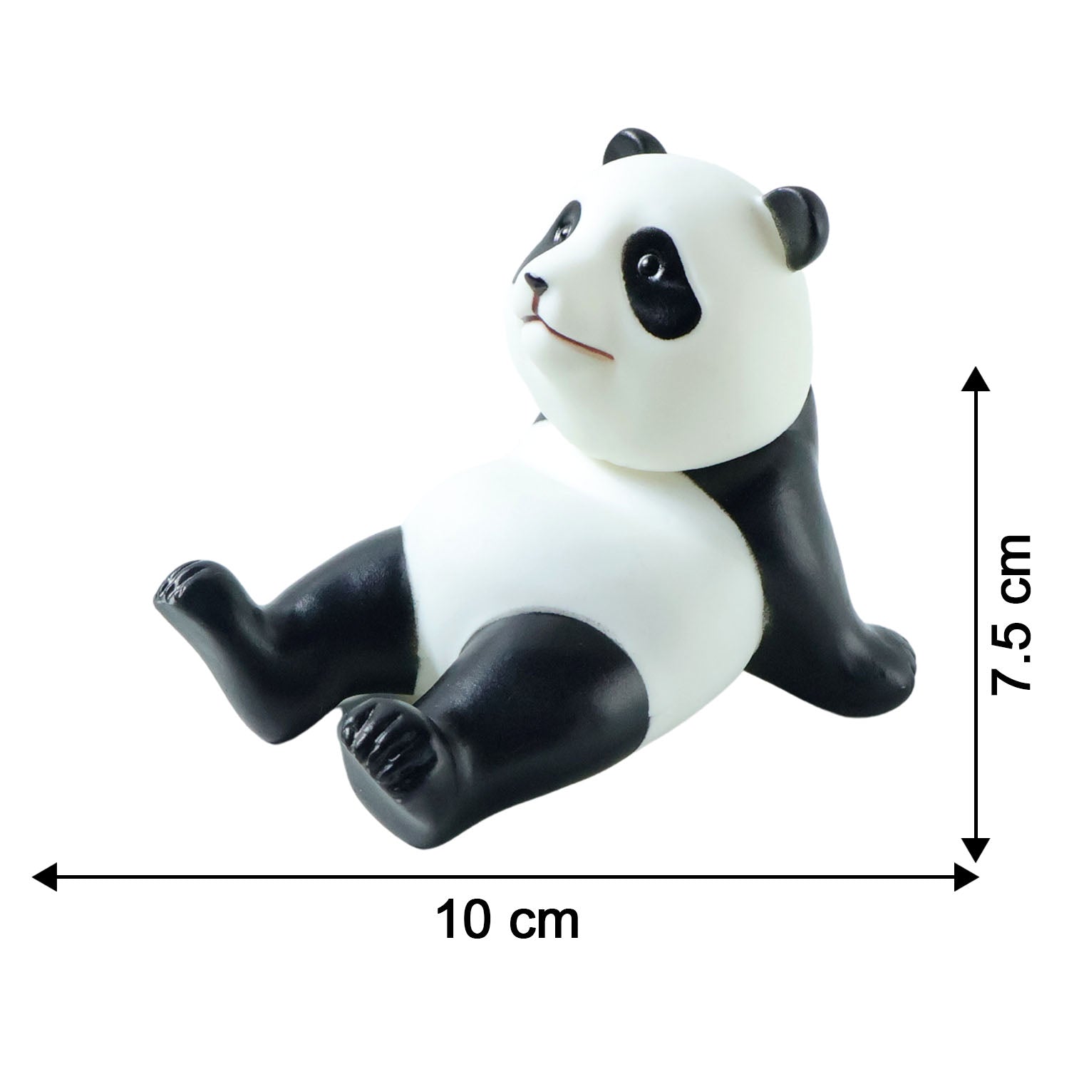View 5