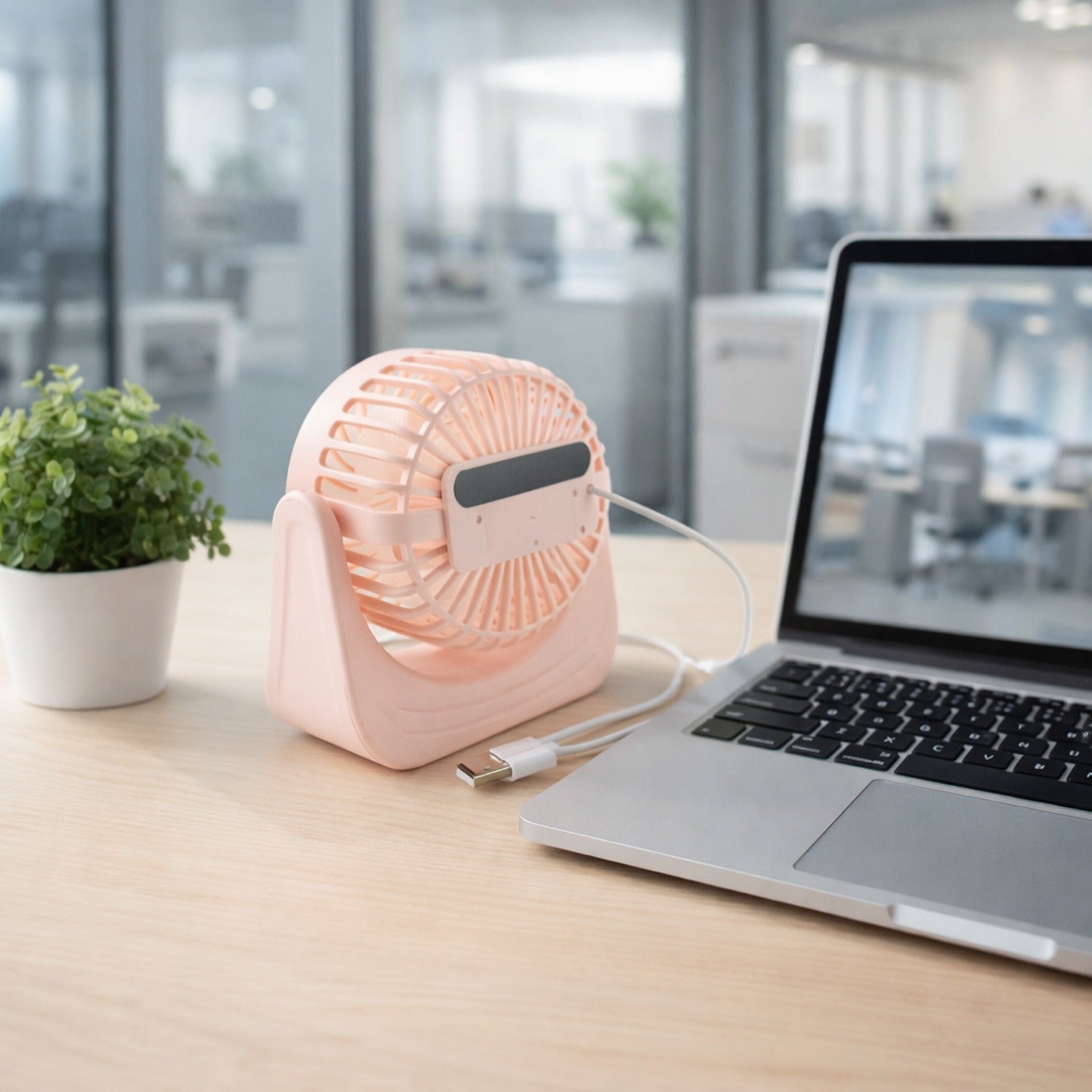View 4