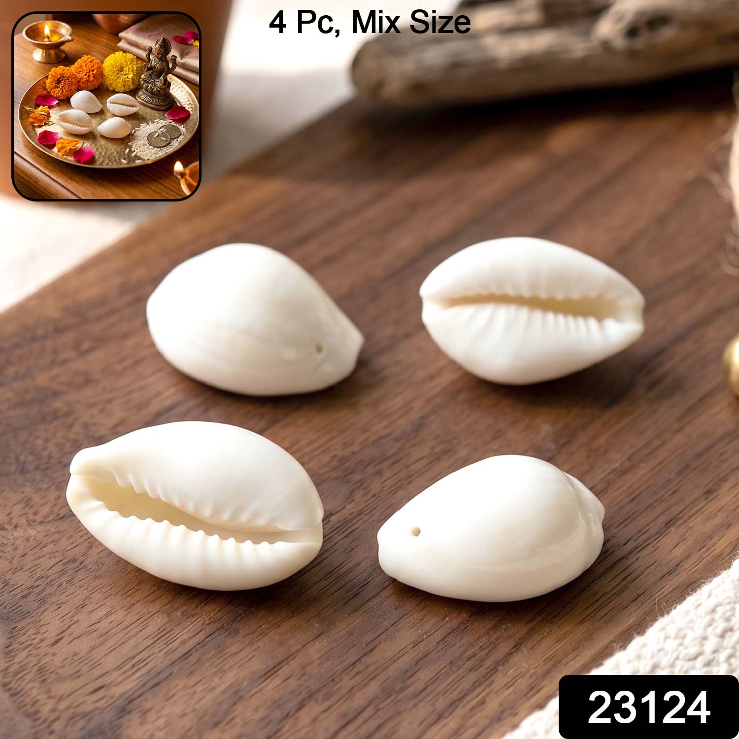 Natural Kaudi Cowrie Shells (4 Pc, Mix Size)